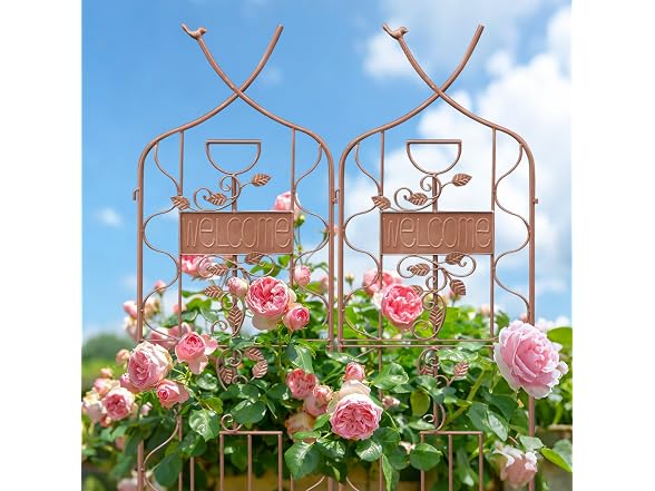 LZRS 2Pk 59.5*18in Rustic Garden Trellis