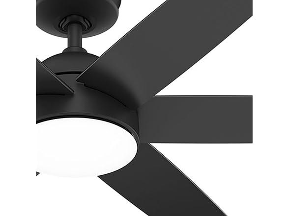 Hunter Fan 52 inch Black Indoor Ceiling Fan w/ Light