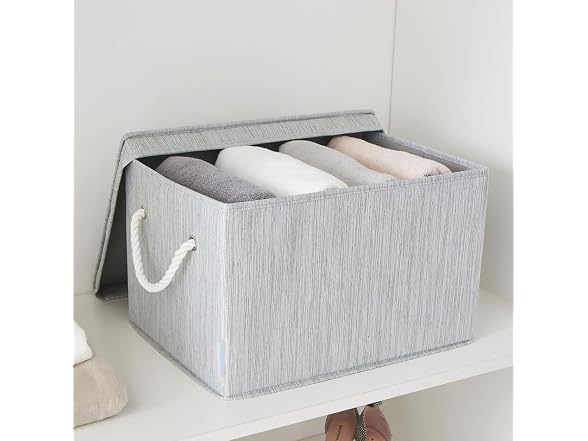 Sukkri Gray Storage Bins with Lids 2 PK