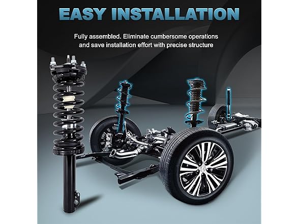 EVERESTWAY Rear Struts w/Mounts