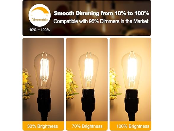 Vintage 12Pk LED Edison Bulbs 60 Watt Dimmable
