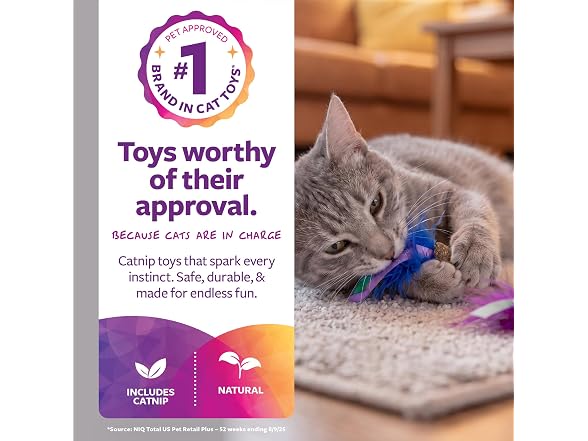 SmartyKat SmartyKat Frisky Fun Compressed Catnip