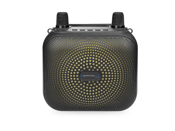 8" Karaoke Speaker w/ 2 Mics
