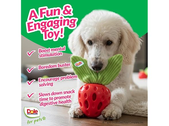 Dole for Pets Dog Puzzle Toy with Crinkle Squeak Insert