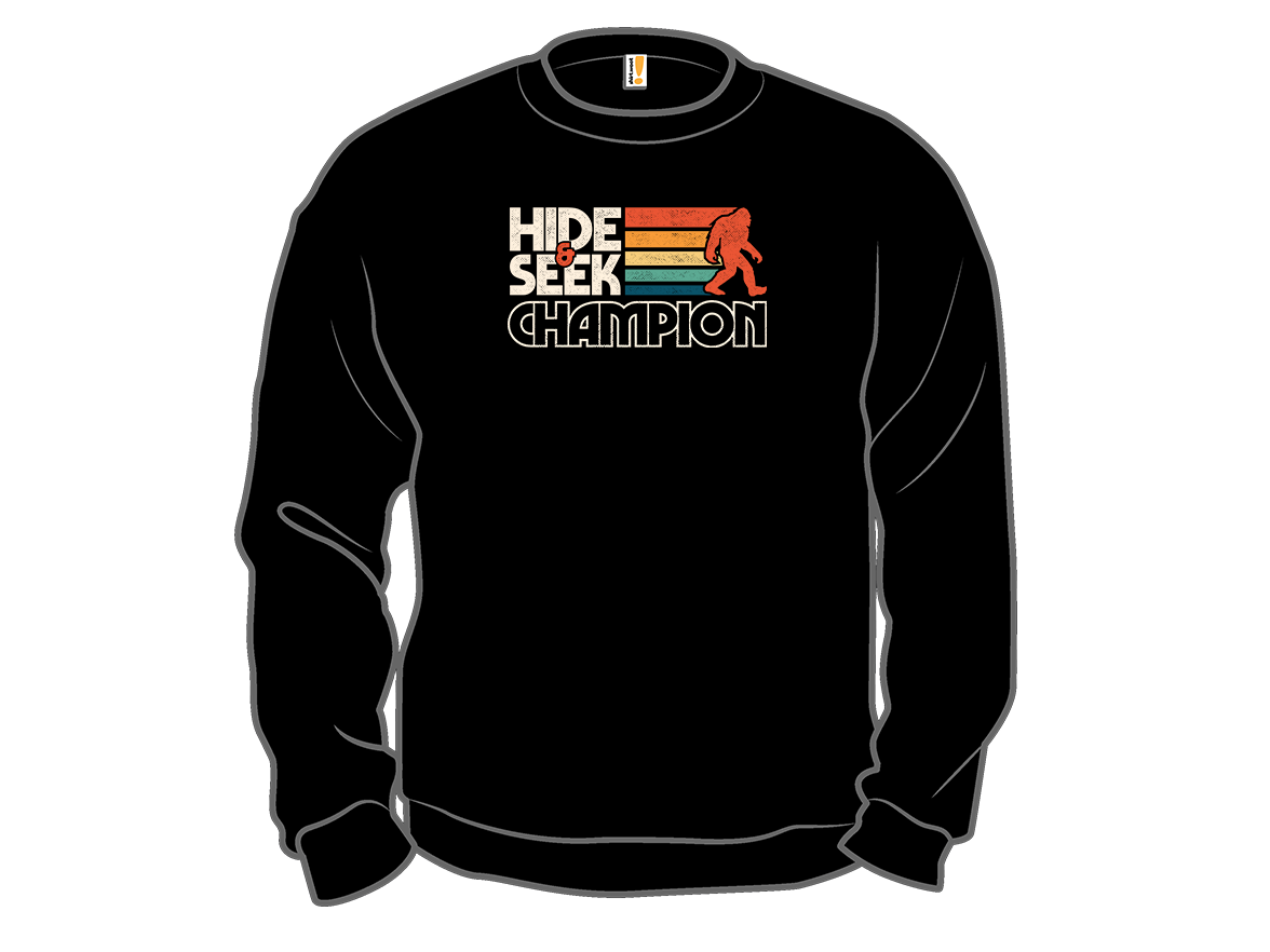 Vintage Hide & Seek Champion - Gallery 11