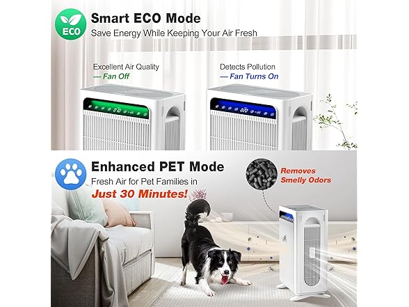 KNKA Air Purifier for Home