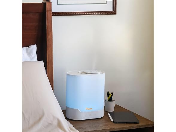 Crane Cool Mist Humidifier and Aroma Diffuser