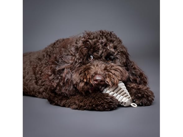 NOAH & PAW Luxury Dog Toy, Dog Rope Toy- Football, Beige