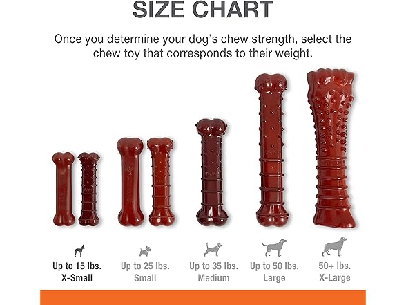 Nylabone Original & Textured Chew Toy