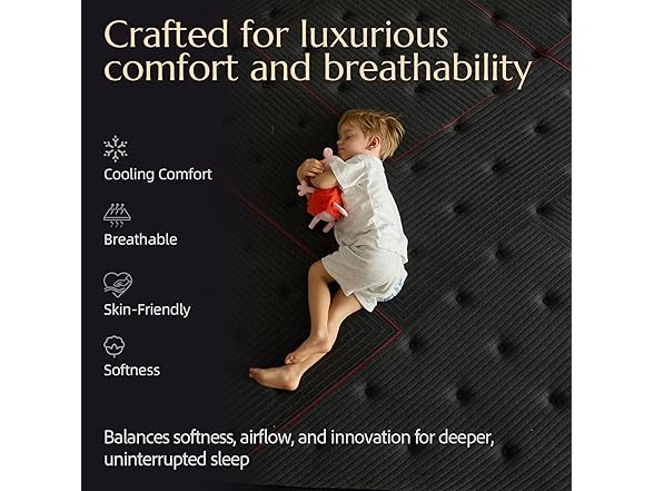 ZLNDR 10 Inch Queen Mattress