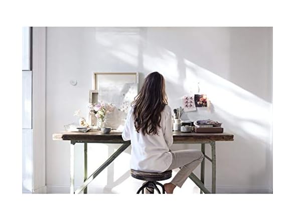 Google Nest Thermostat E