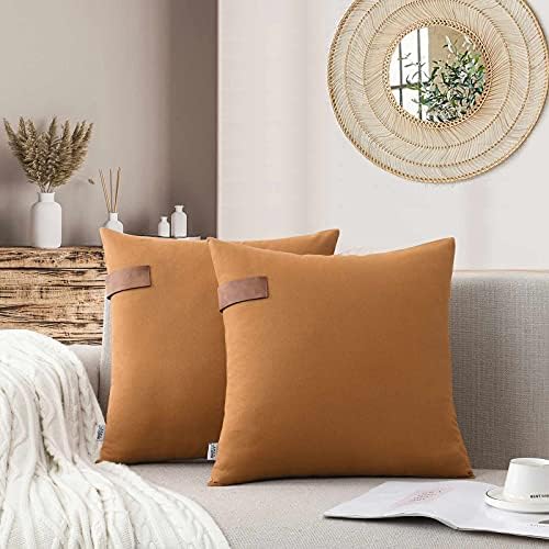 Set of 2 Throw Decorative Pillow Covers