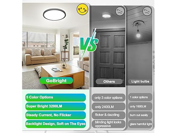 GoBright 16.5 Inch Large Flush Mount Ceiling Light Fixtures