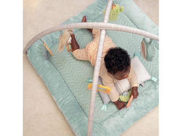 Ingenuity Calm Springs Plush Activity Gym