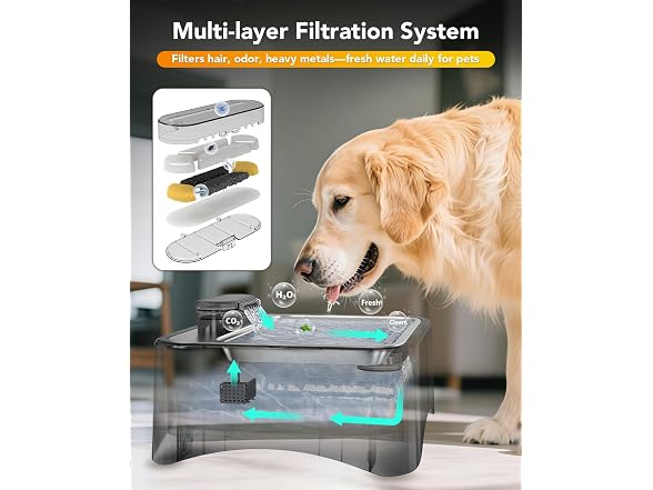 UPSKY 8.5L Elevated Dog Water Fountain
