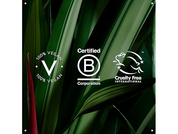 2PK Aveda Nutriplenish Light Moisture Shampoo, 8.5 oz