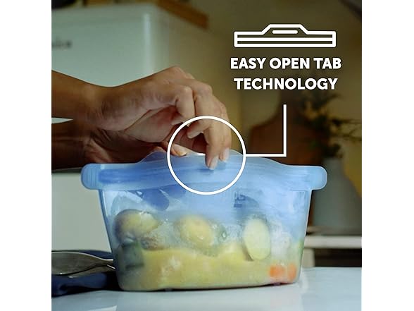 Ziploc Endurables Small Container, 2 Pack