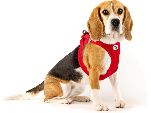 Vest Harness curli Clasp Softshell Red 3XS