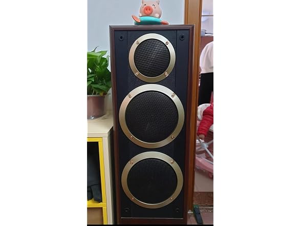 Fielect 2Pcs 5 inches Speaker Grill