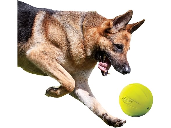 Nerf Dog Rubber Ball Dog Toy with Squeak