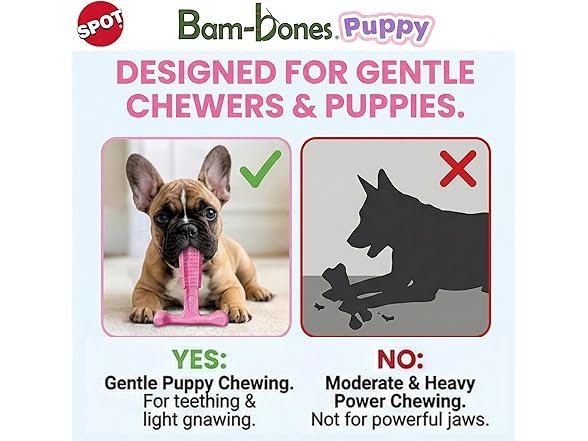 SPOT Bam-Bones Puppy T-Bone Dog Chew Toys, 2PK