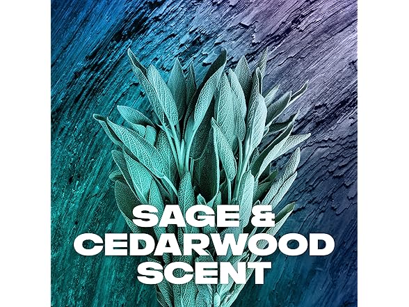 AXE Apollo Body Wash w/ Prebiotics, 16oz