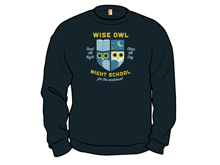 Wise Owl Night School