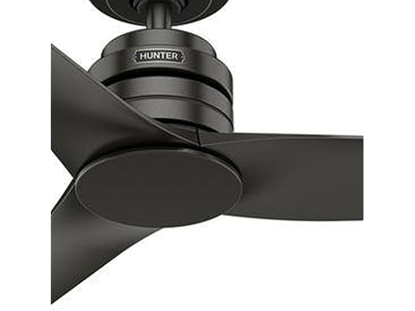 Hunter Ceiling Fan 52 Inch Matte Black Indoor/Outdoor