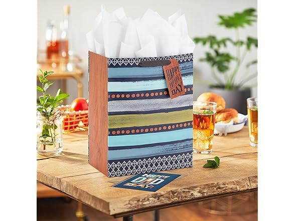 Hallmark 13" Gift Bag w/Card for Dad