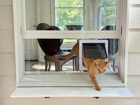 Custom Cat Door Window Insert