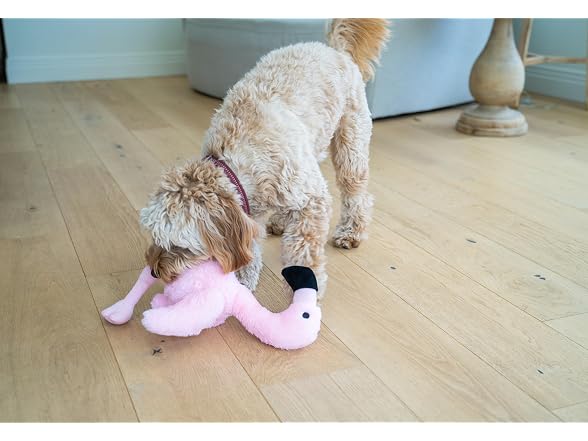 Flourish Pets 3 in 1 Multi-Layer Chew Toy Flamingo