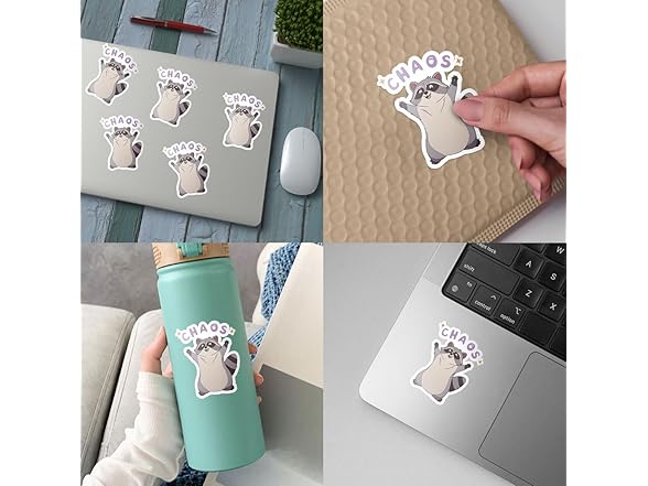 3pc Raccoon Chaos Sticker Meme