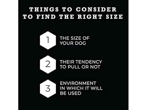 Wolfgang Dog Collar, MountainWave Print