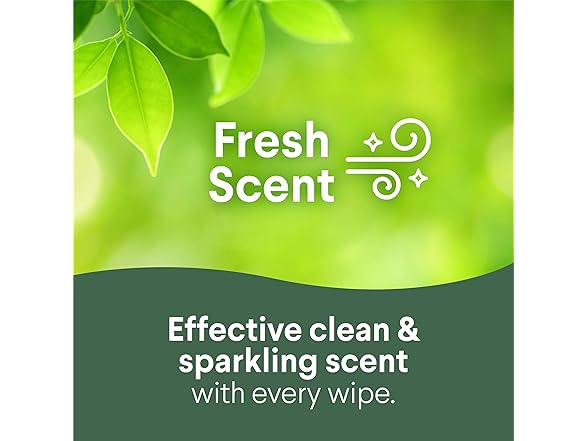 Clorox Clorox Wipes Value Pack, 105ct