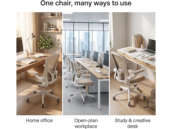 Ergonomic Office Desk Chair High Back