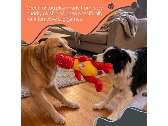 Bow Wow Pet 2 Pack Plush Dog Toy with Squeaker