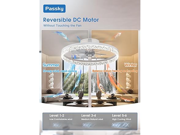 Passky 20” Low Profile Ceiling Fan with Lights and Remote