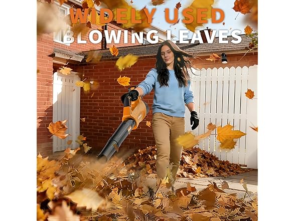 Lightweight Electric Leaf Blower