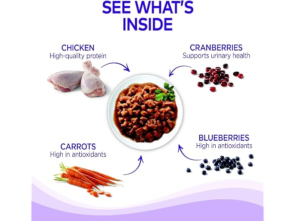 Wellness Complete Health Healthy Indulgence Grain Free