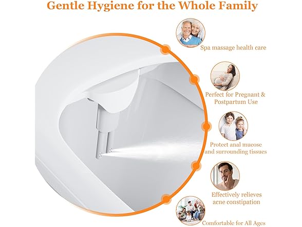 LostSoul Bidet Attachment for Toilet