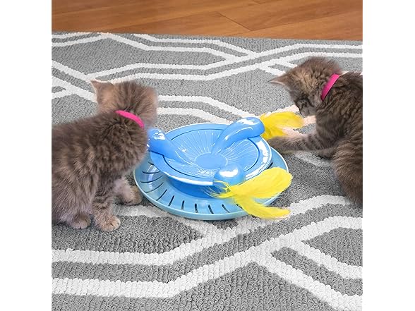 Kitty City Swat Track Cat Toy, 3 Toys in 1