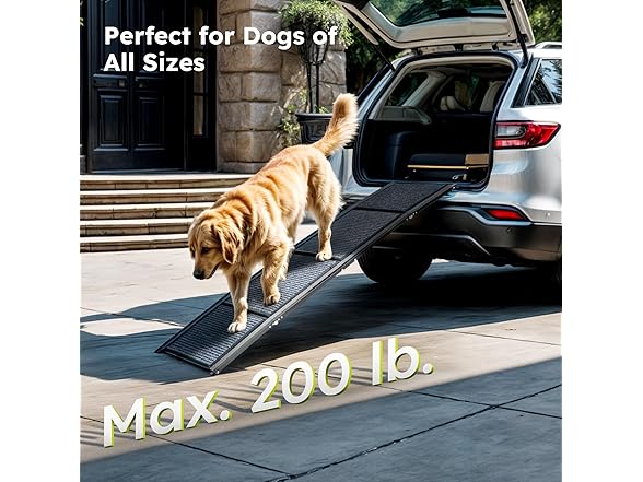 Dog Ramp for Car
