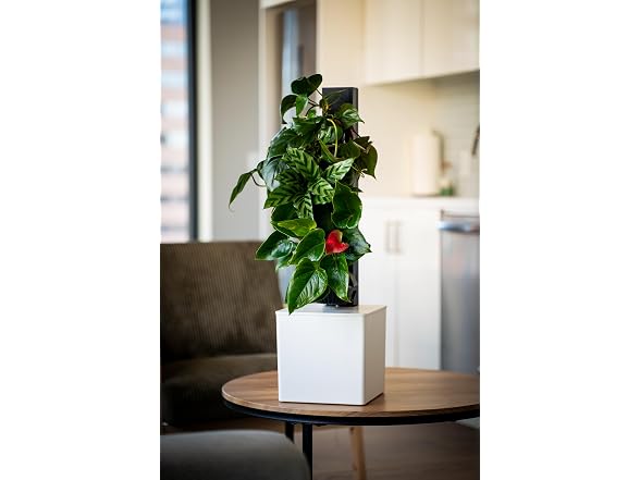 Tevatower Mini Smart Self-Watering Garden