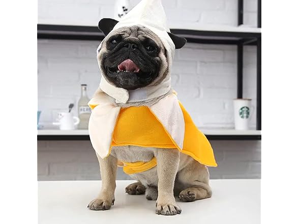 Kodervo Banana Dog Costume - Funny Halloween