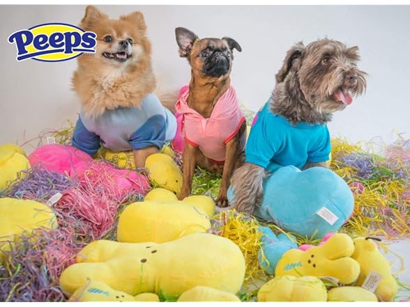 Peeps for Pets Officially Licensed Pink Bunny, Small