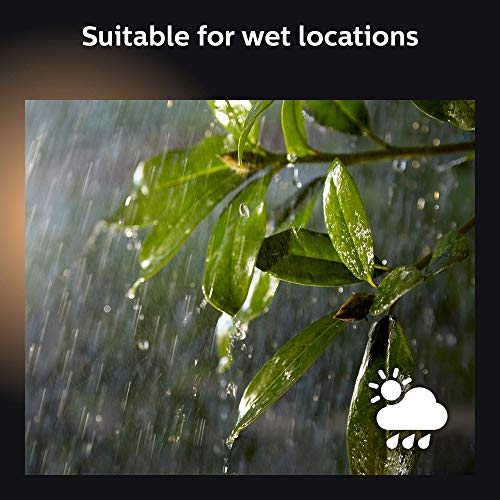 Philips Hue Color Outdoor LightStrip 7ft - Gallery 26