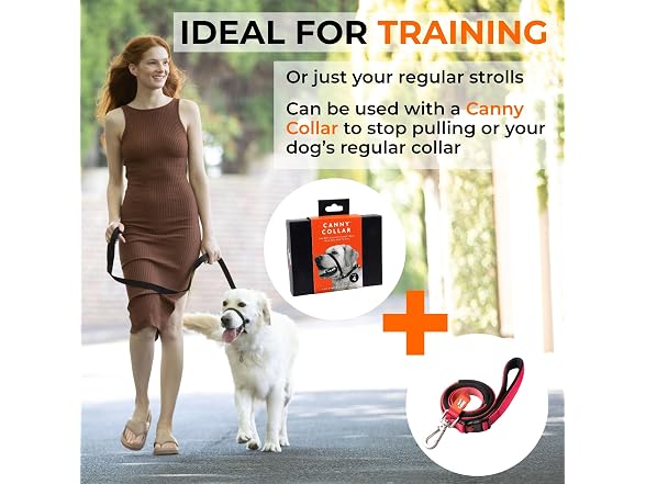 Canny Connect Leash - Anti Pull Dog Leash for Head Collars