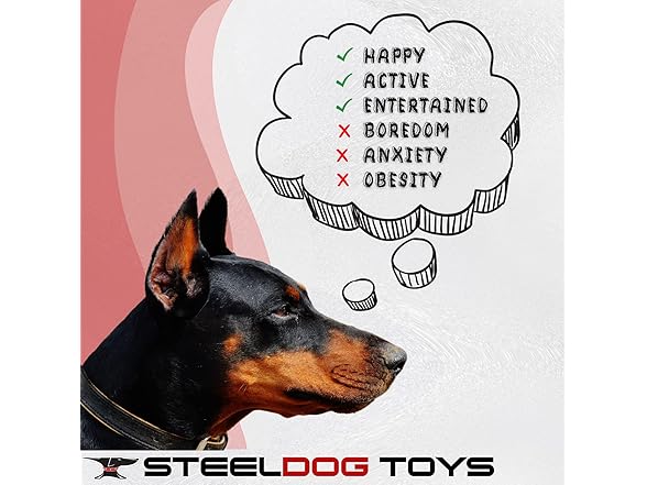 Steel Dog Bumpy Gator Squeaker Dog
