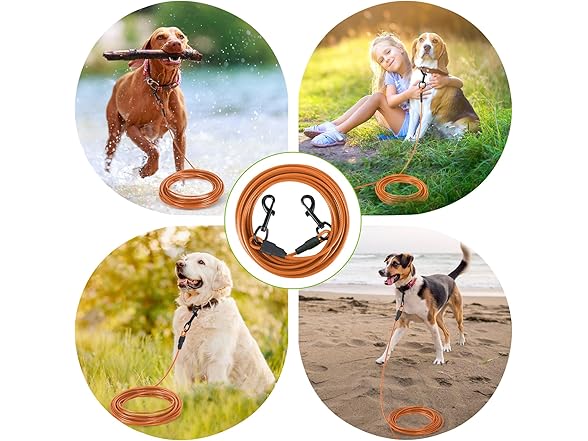 Betmaypet Dog Tie Out Cable