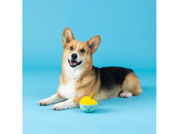 Fringe Studio Dog Toy, You Make Miso Happy